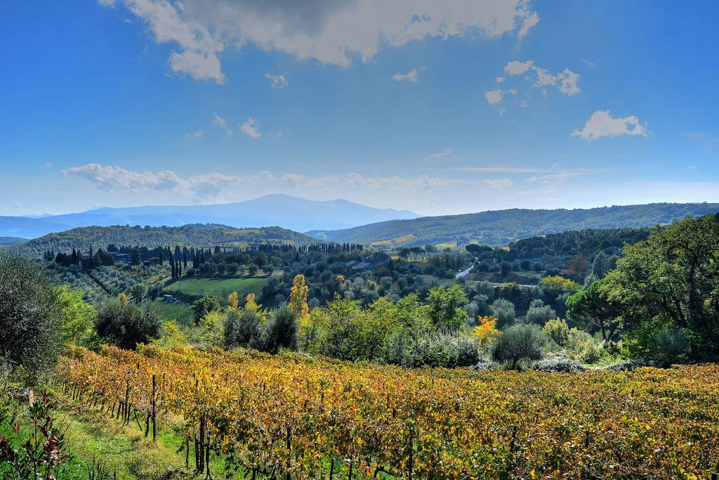Agriturismo Fraschetta Montalcino Exterior photo