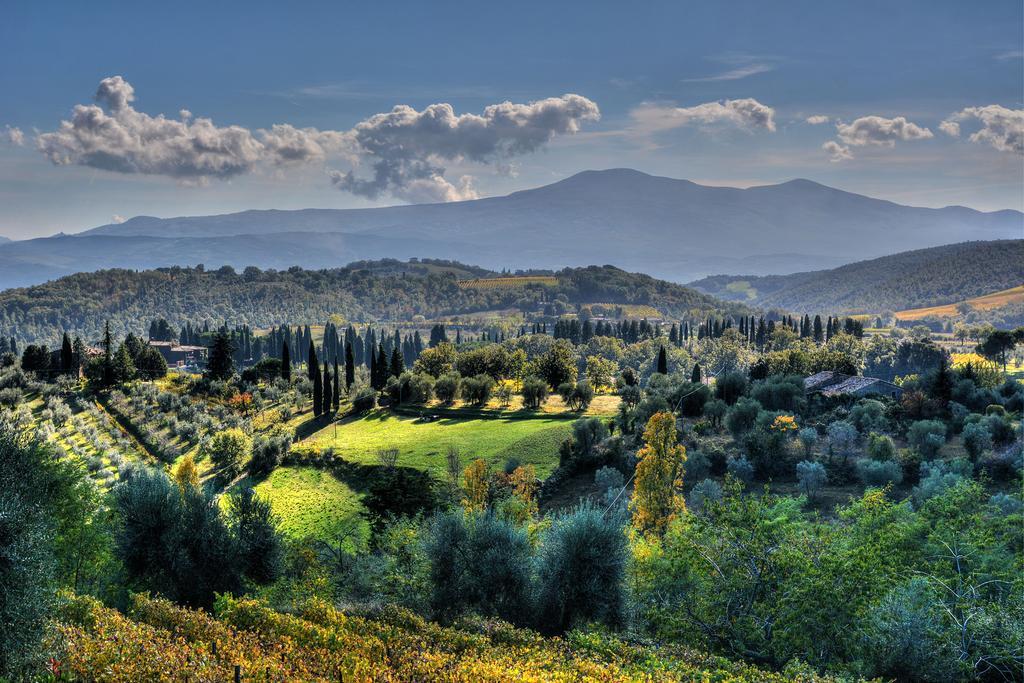 Agriturismo Fraschetta Montalcino Exterior photo