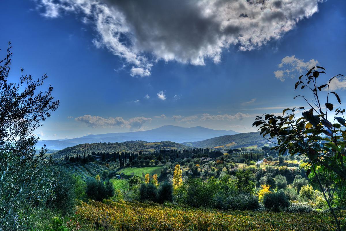 Agriturismo Fraschetta Montalcino Exterior photo